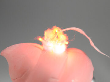 バンダイ　ウンコスルデイズ　LED電飾工作